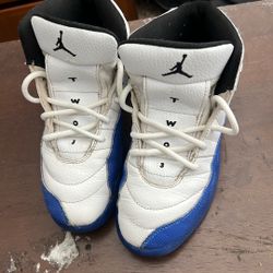 French Blue Jordan 12’s