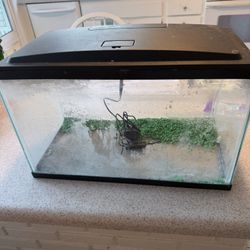 20 Gallon aquarium 