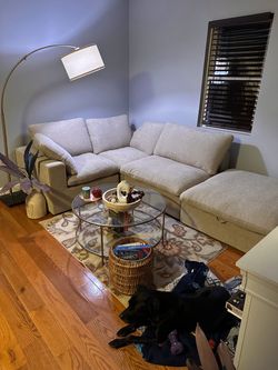 1 year old Sectional