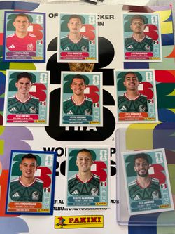 Panini World Cup Stickers