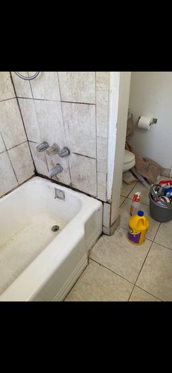 Mold  