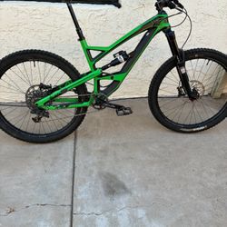 2016 YT Capra 
