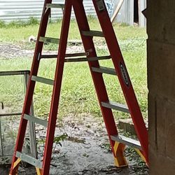 6' Ladder Werner