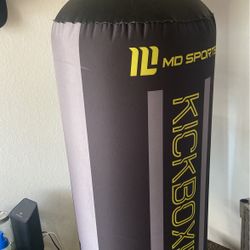 Punching Bag With Everlast 16ounce Gloves