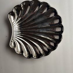 Shell Decor 