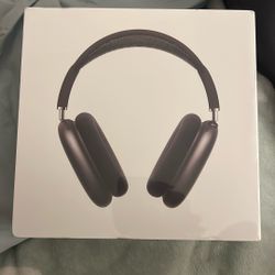 Air Pod Maxes