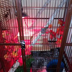 30 L By 30 w Inch Bird Cage Only 