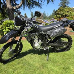 2022 Kawasaki KLX 300