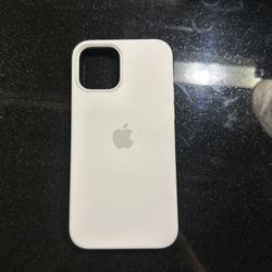 Iphone 12 Magsafe Silicone Cass