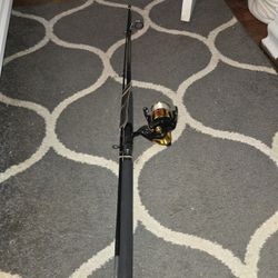 Brand New Fishing Pole