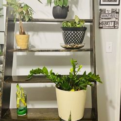 Indoor/Outdoor Plant Holders 