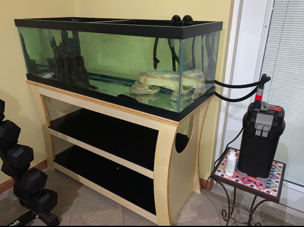 Empty Fish Tank And Stand 