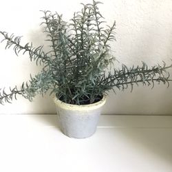 Small Artificial Plant 