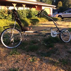 Rans bike lWB 