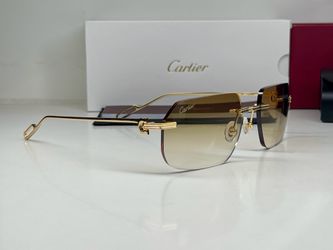 C Decor Cartier Premiere Sunglasses Buffalo Horn Glasses