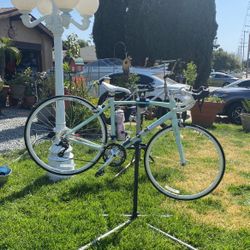 Novara Carema Road Bike