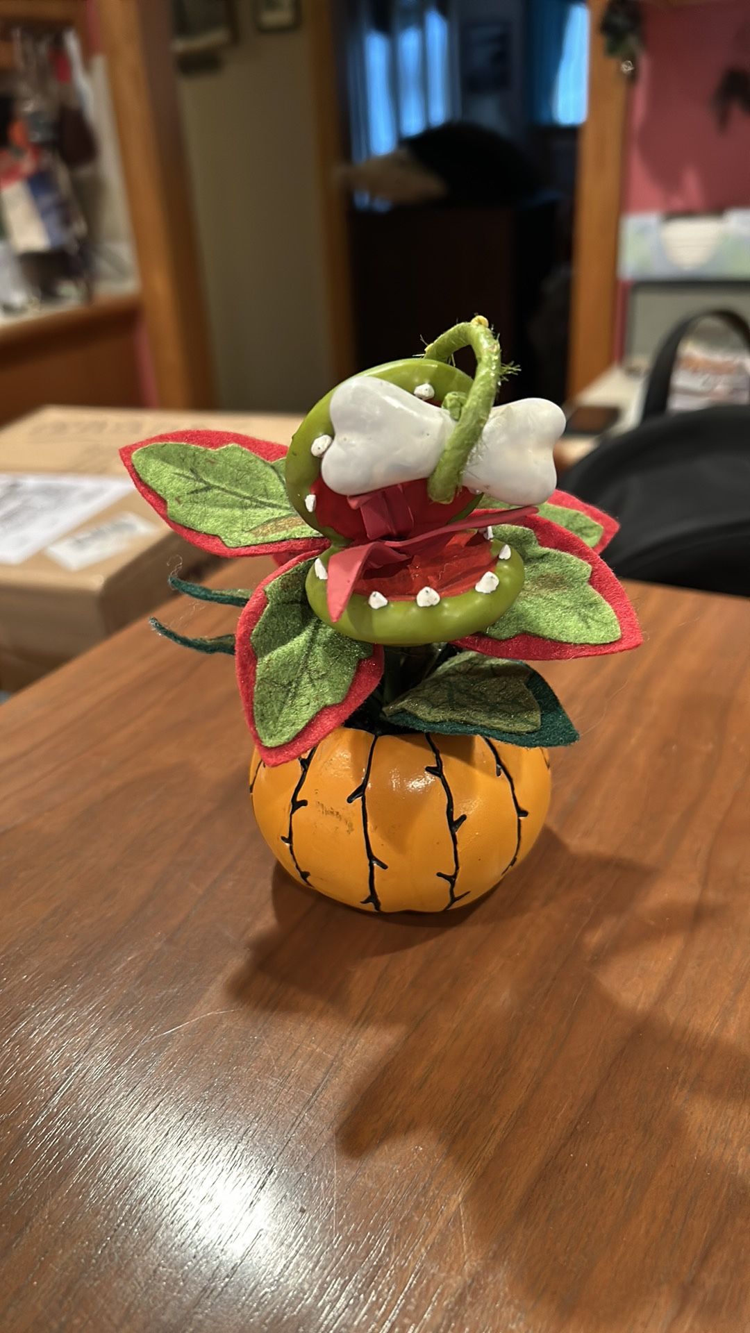 Target Hyde & Eek Halloween Succulent