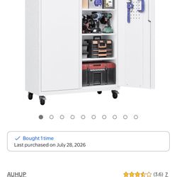Rolling Metal Cabinet (s)
