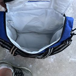 Backpack Cooler 