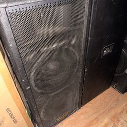 Kustom PA Speakers For DJ