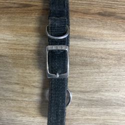 Pet Collar 