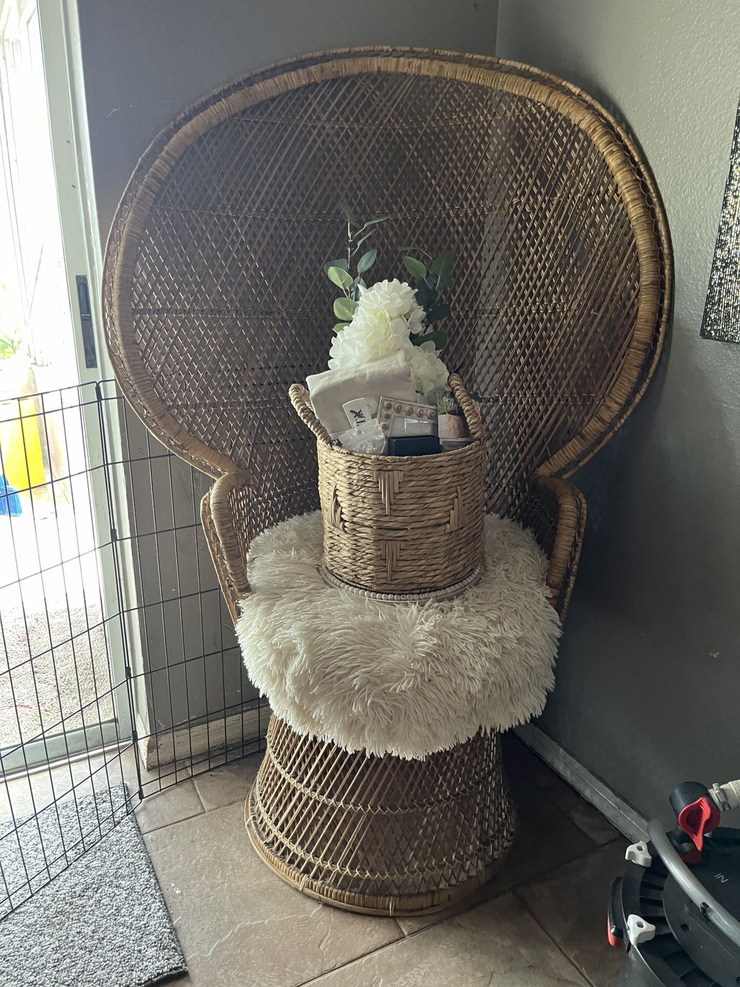 Peacock Chair.