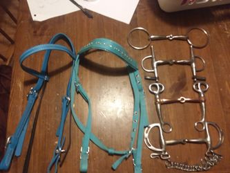 Horse tack