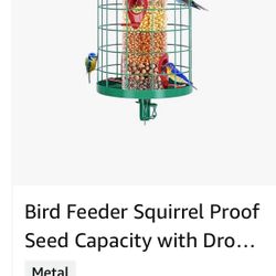 Bird Feeder