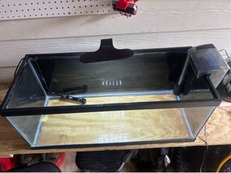 20 gallon fish tank starter setup