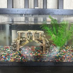 8 Gallons Fish Tank