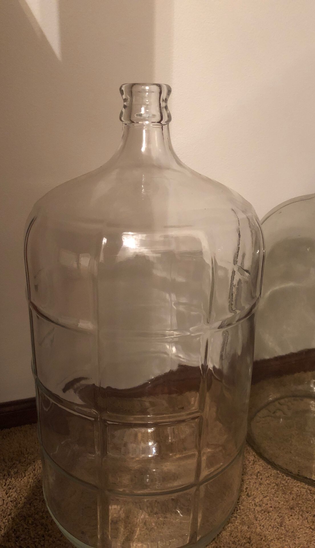 6 Gallon Carboy
