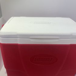 Igloo Cooler 