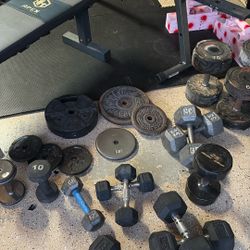 Weights, Bench