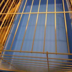 Animal Cage