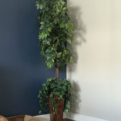 Indoor Plants (Fake) $50 Each