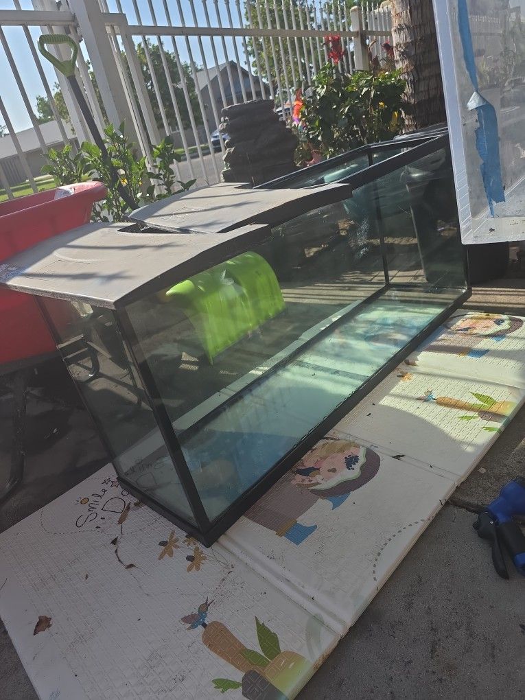 55 Gallon Glass Fish Tank