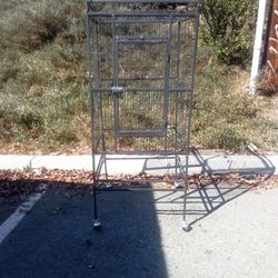 Bird Cage 
