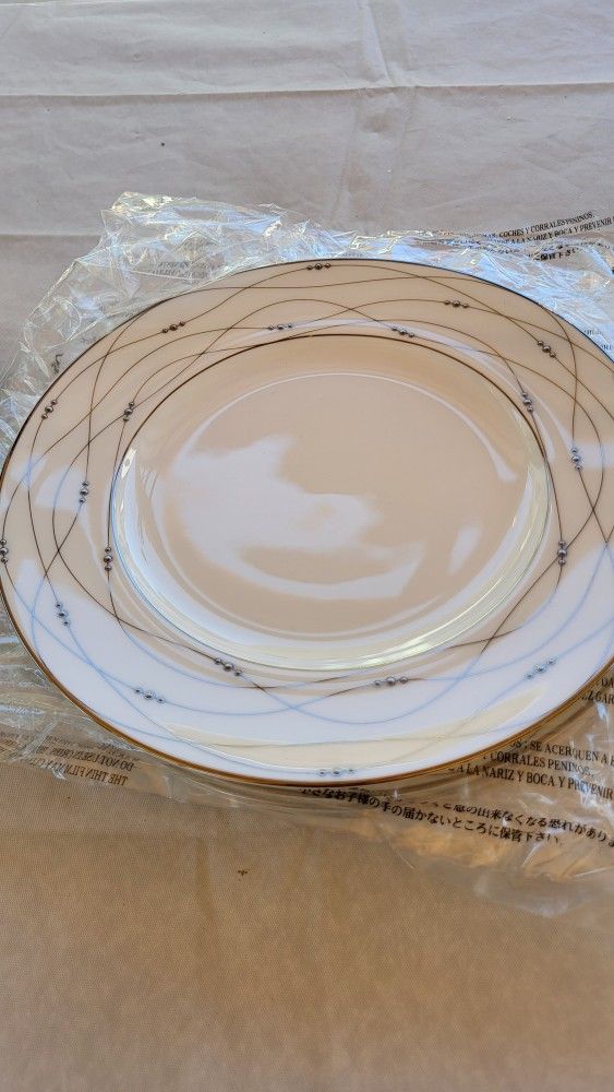 ROYAL DOULTON PRECIOUS PLATINUM
