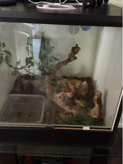 Snake enclosure