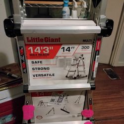 Industrial Grade 14' Foot Ladder 