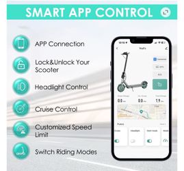 Dp80 pro electric scooter
