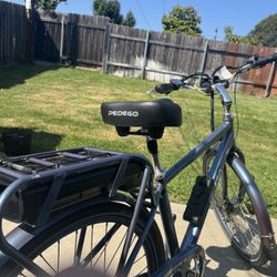 Fun Pedego Electric Bike