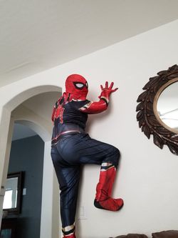 Iron spider man costume