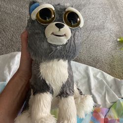 Feisty Pet Toy