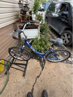 Diamondback Serene bike
