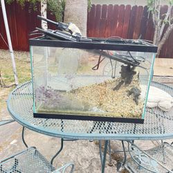 20 Galloon Fish tank (comes With Heater, Filter, Decorations, Ect)