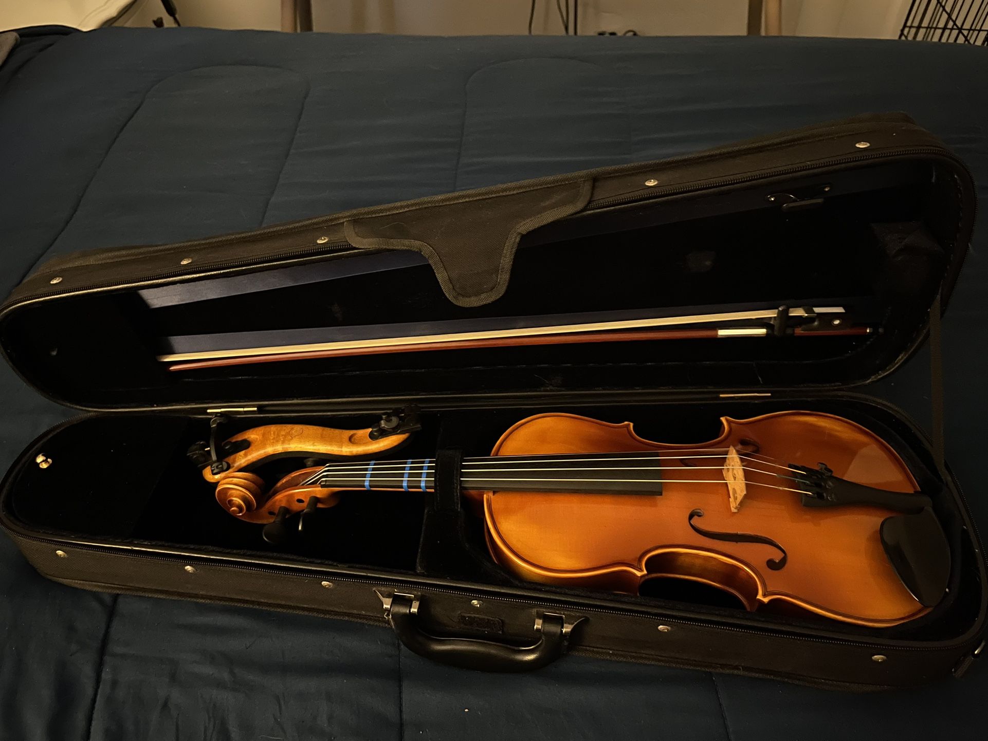 Intermediate Violin 🎻 🎶🎼