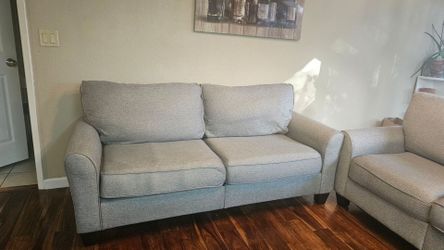 2 Bluish/Grey Couches