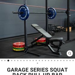 Fringe Sport Squat Rack Pull Up Bat