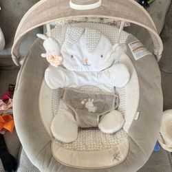 Baby Rocker